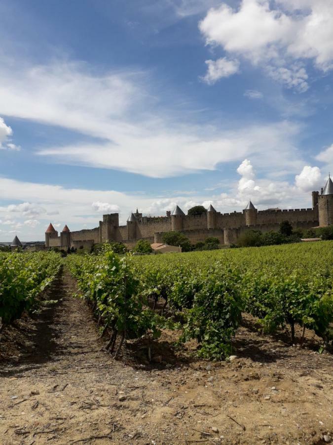 Domaine Fontgrande Gite การ์กาซอน ภายนอก รูปภาพ