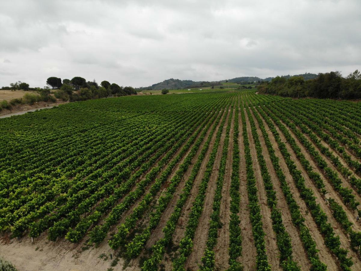Domaine Fontgrande Gite การ์กาซอน ภายนอก รูปภาพ